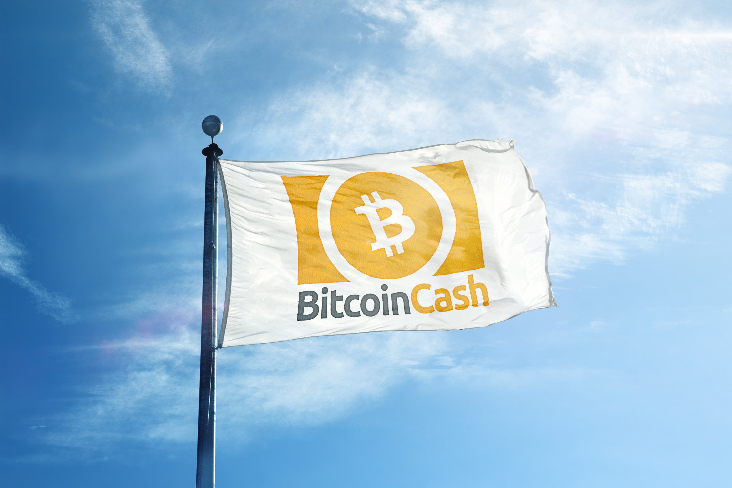 100 Companies That Accept Bitcoin Payments