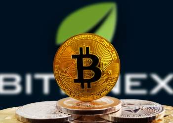 Bitcoin and Crypto Investors Are Torn Over Using Bitfinex After Accusation