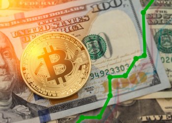 Bulls are Back in Town? Experts Weigh in on Bitcoin Price Rise