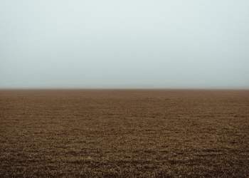 New Experiments Could Allow Bitcoin Traders to Locate Price Bottoms