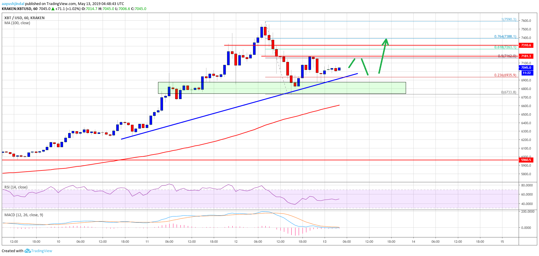 Bitcoin Price Analysis BTC Chart