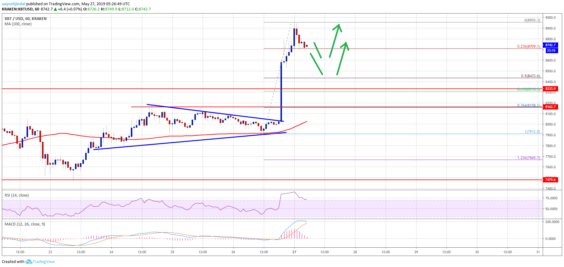 Bitcoin Price Analysis BTC Chart