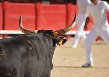 Ravencoin, HoloChain, and Binance IEO Altcoins Expected To Skyrocket Next Bull Run