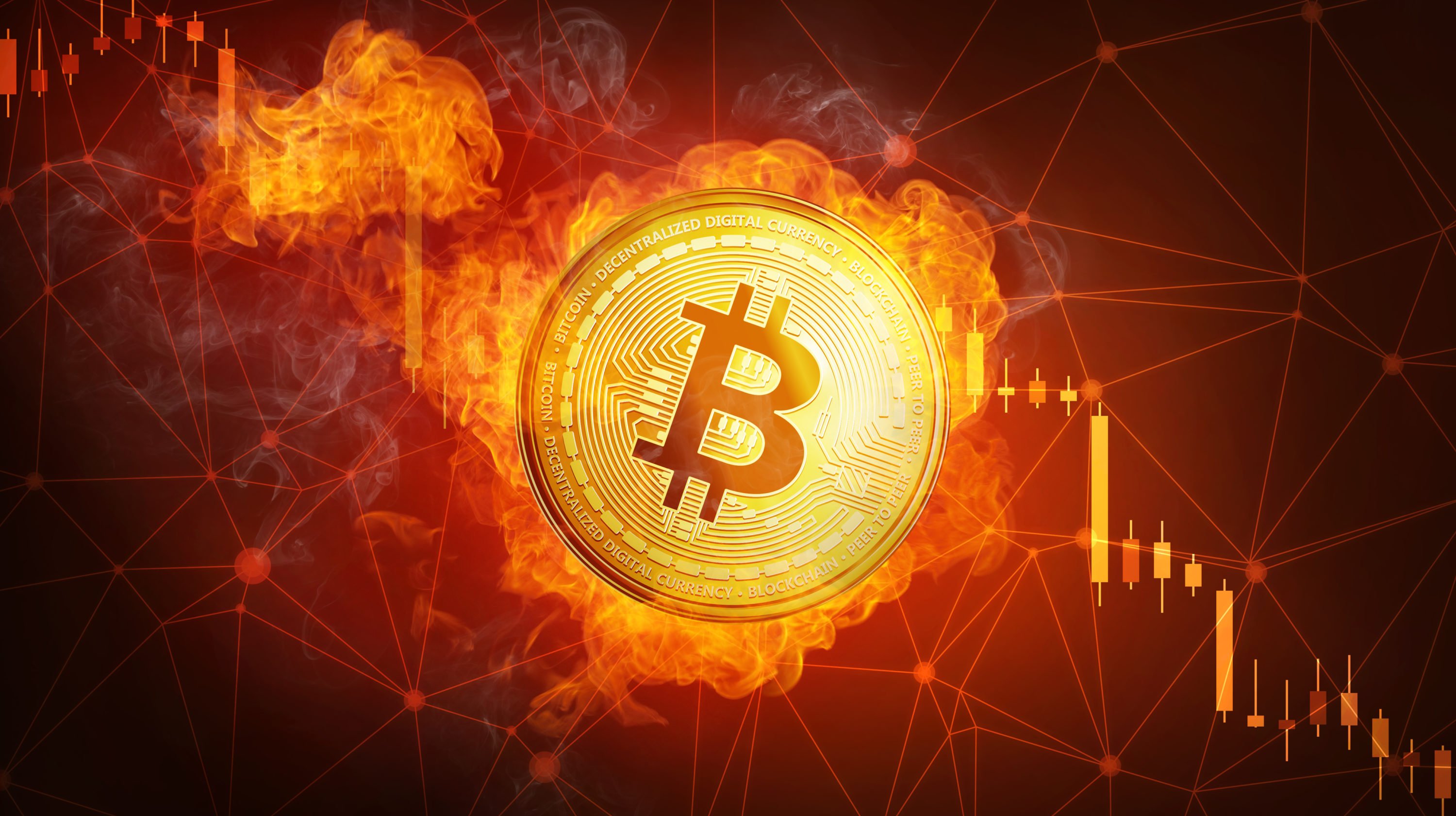NVT Divergence Reaches Bull Market “Mania” Levels, Bitcoin Price Increase Not Organic