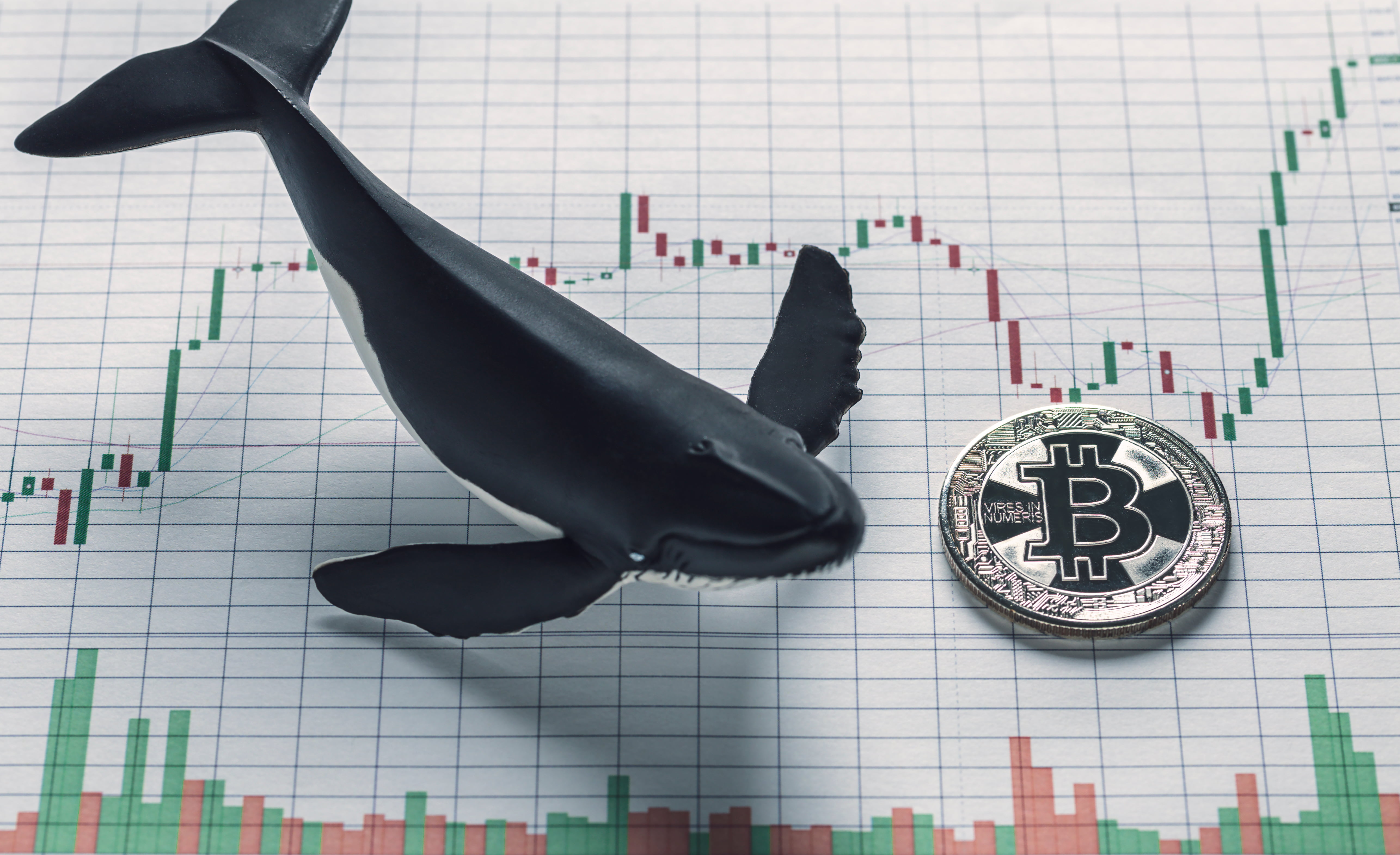 Bitcoin Trader: Big Money is Net Long, Re-Accumulation Expected at $10K