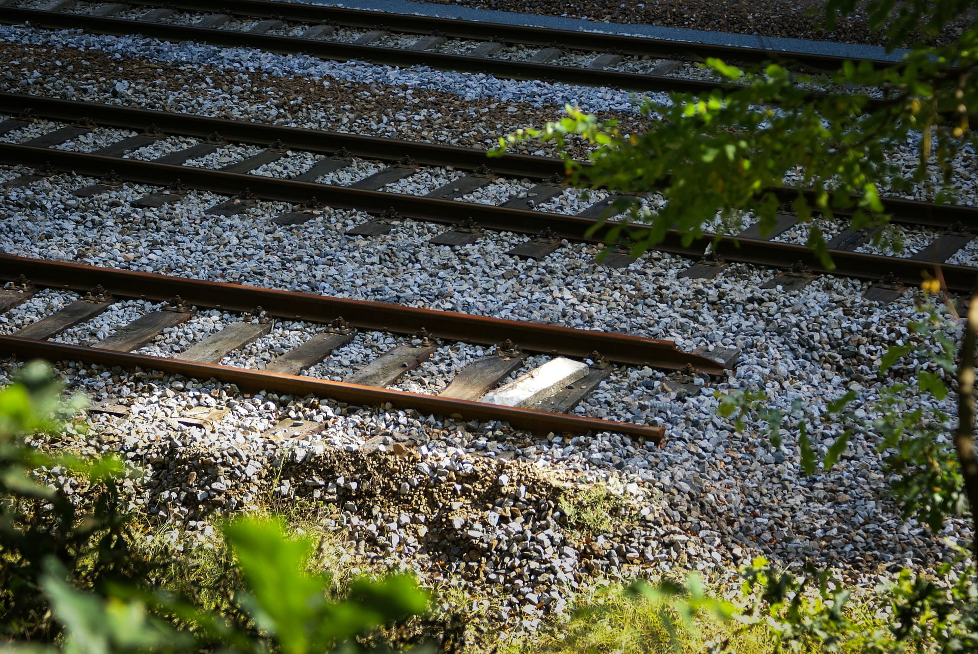 eToro Market Update: Don’t Disrupt What you Cannot Replace