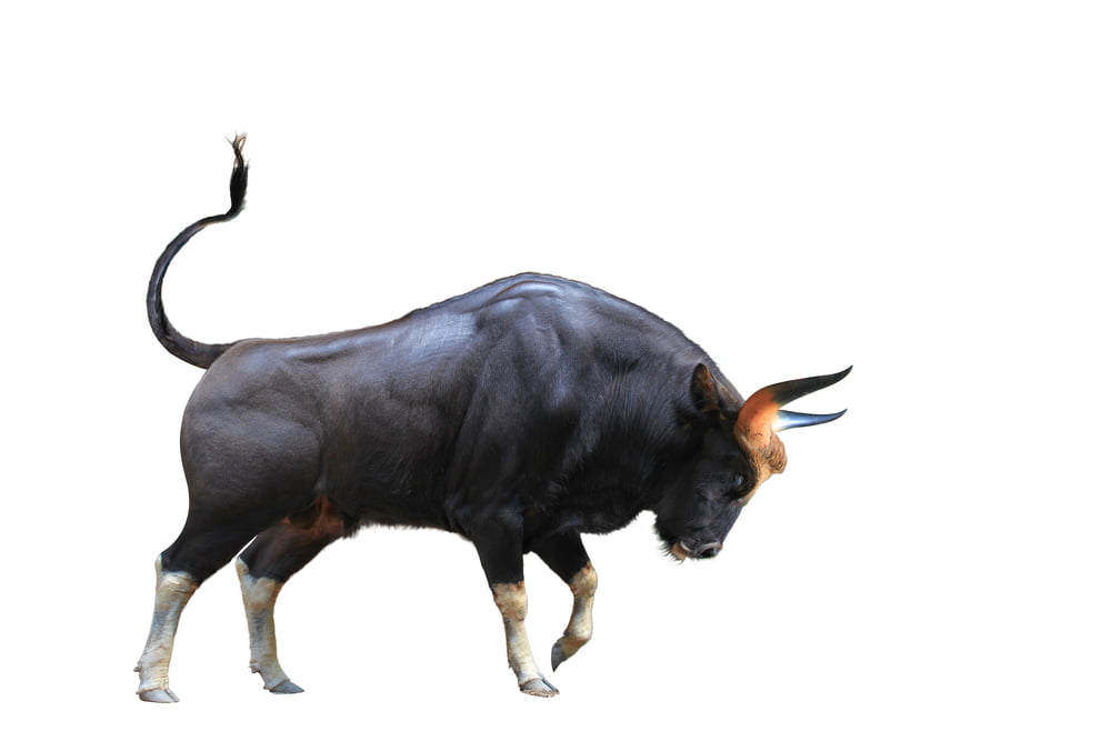 Within Minutes, Bitcoin Spikes 4% as Bitfinex Raises Staggering $1 Billion