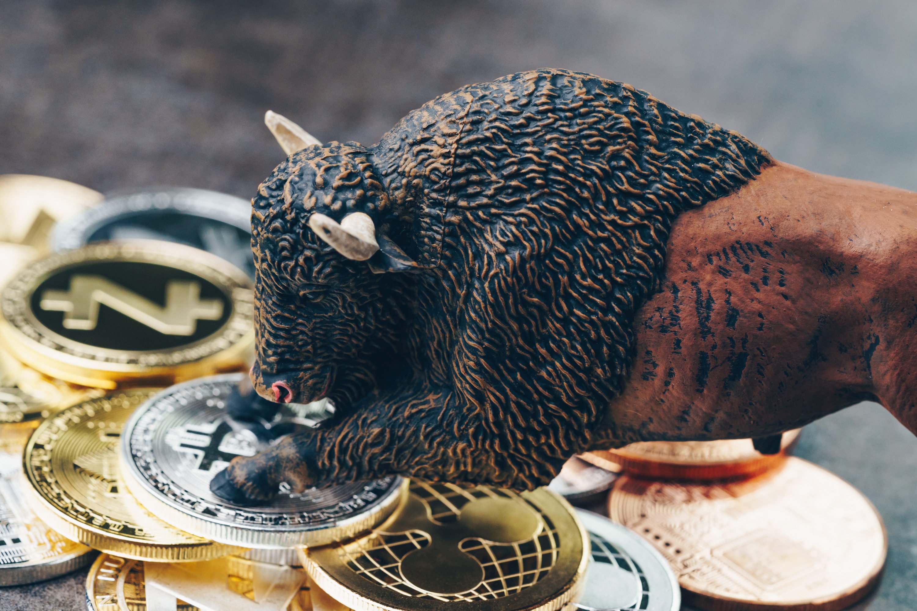 bitcoin bull crypto