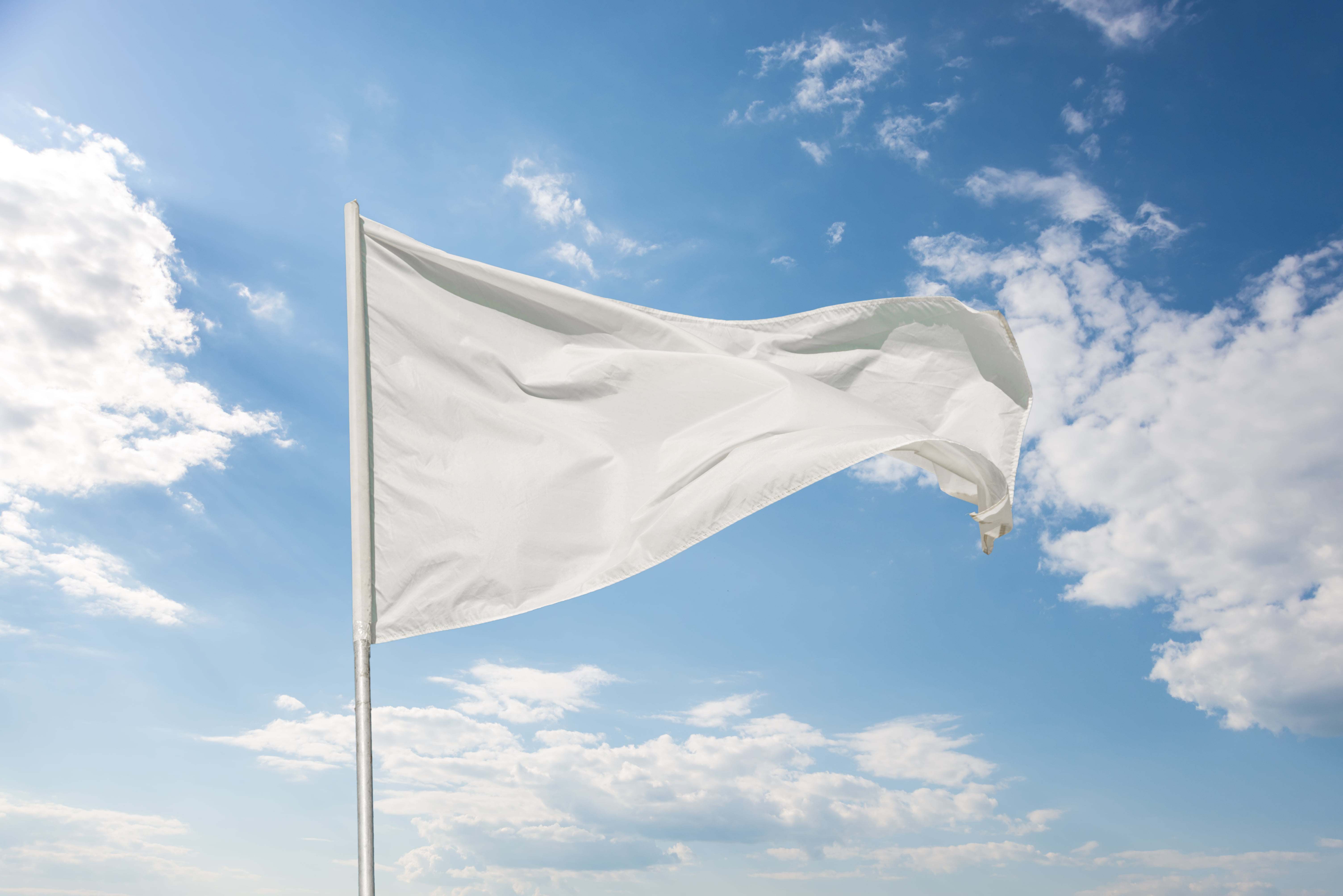 Crypto Chaos: Altcoin Capitulation Continues, But Bitcoin Bull Run is Just Beginning