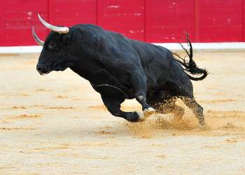 Cardano (ADA) Leads Crypto Market With Staggering 24% Gain in 4 Days