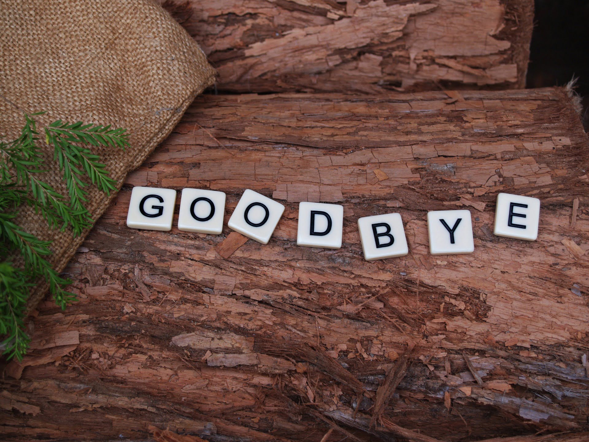 eToro Market Update: Goodbye Populism