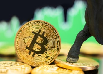 bitcoin, bitcoin price