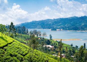 Oxfam Teams Up With Blockchain Startup to Ovehaul Sri Lankan Farming Insurance