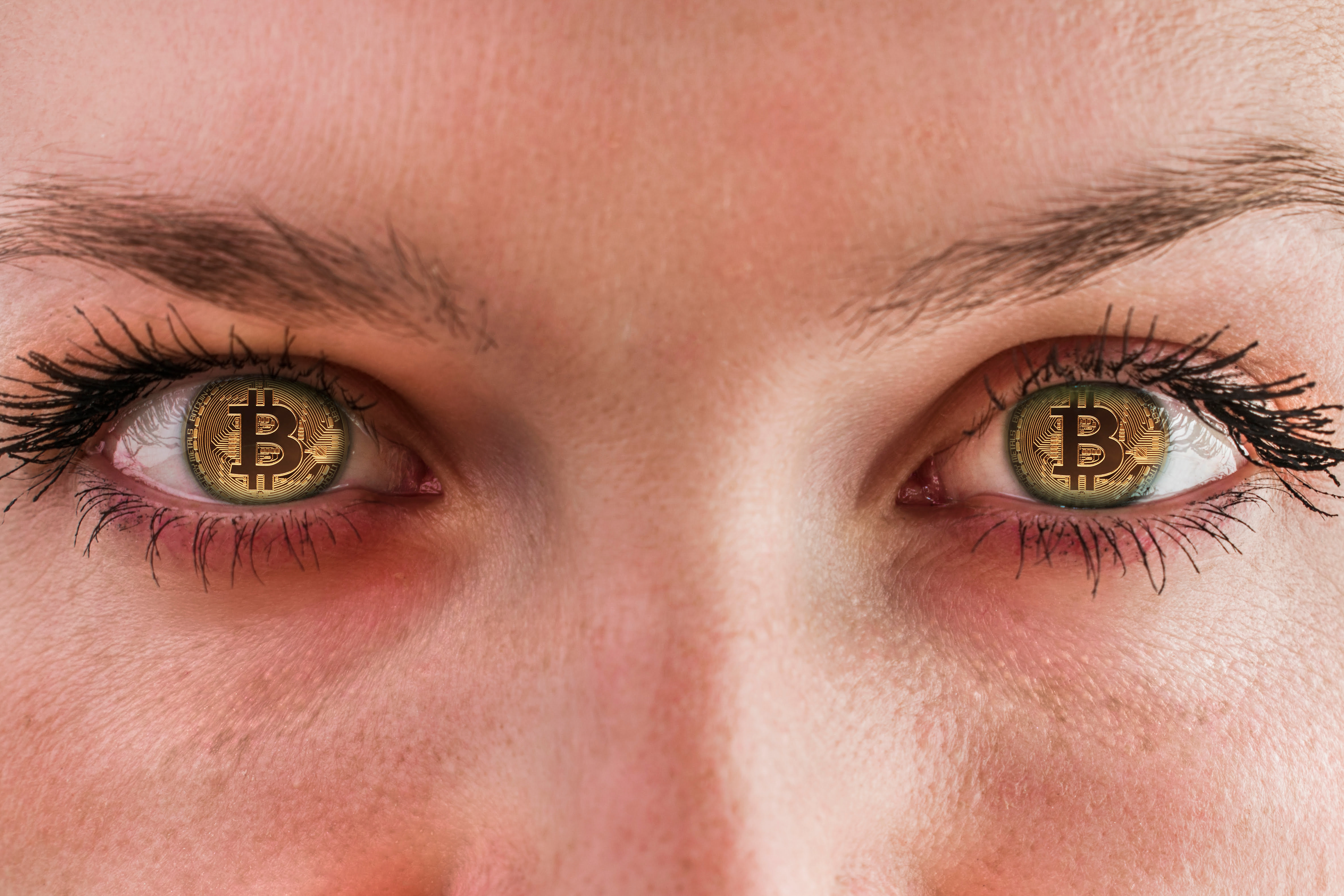 bitcoin maximalist crypto