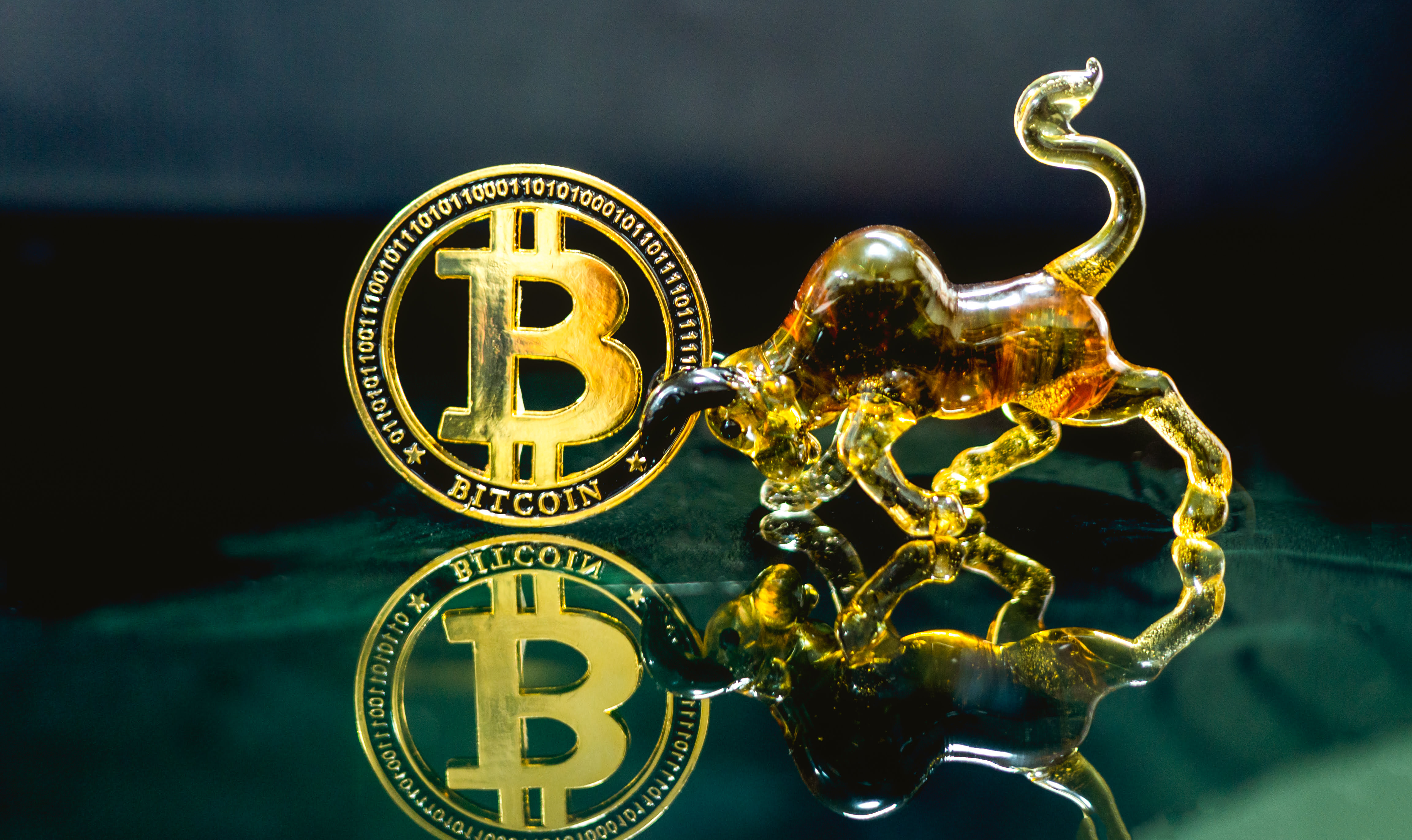 Bitcoin Price Breaks Back Above $12,000 As Bulls Put Bears In Hibernation