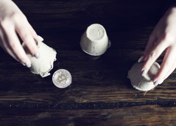 crypto paid group scam scams