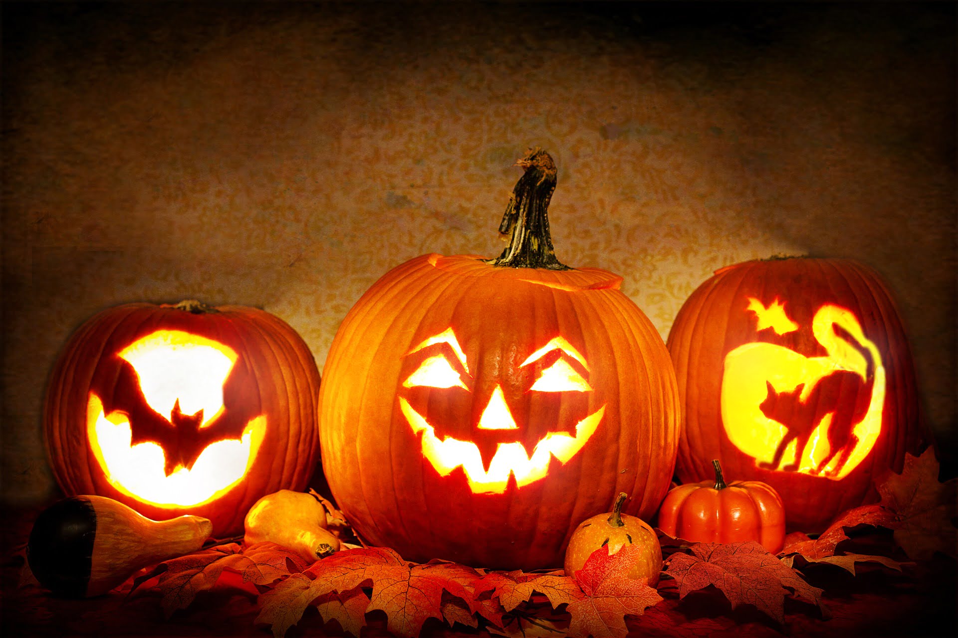 eToro Market Update: Scary Stuff!!