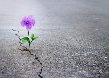 Hopes for Bitcoin as China’s Renminbi Drops to 11-Year Low