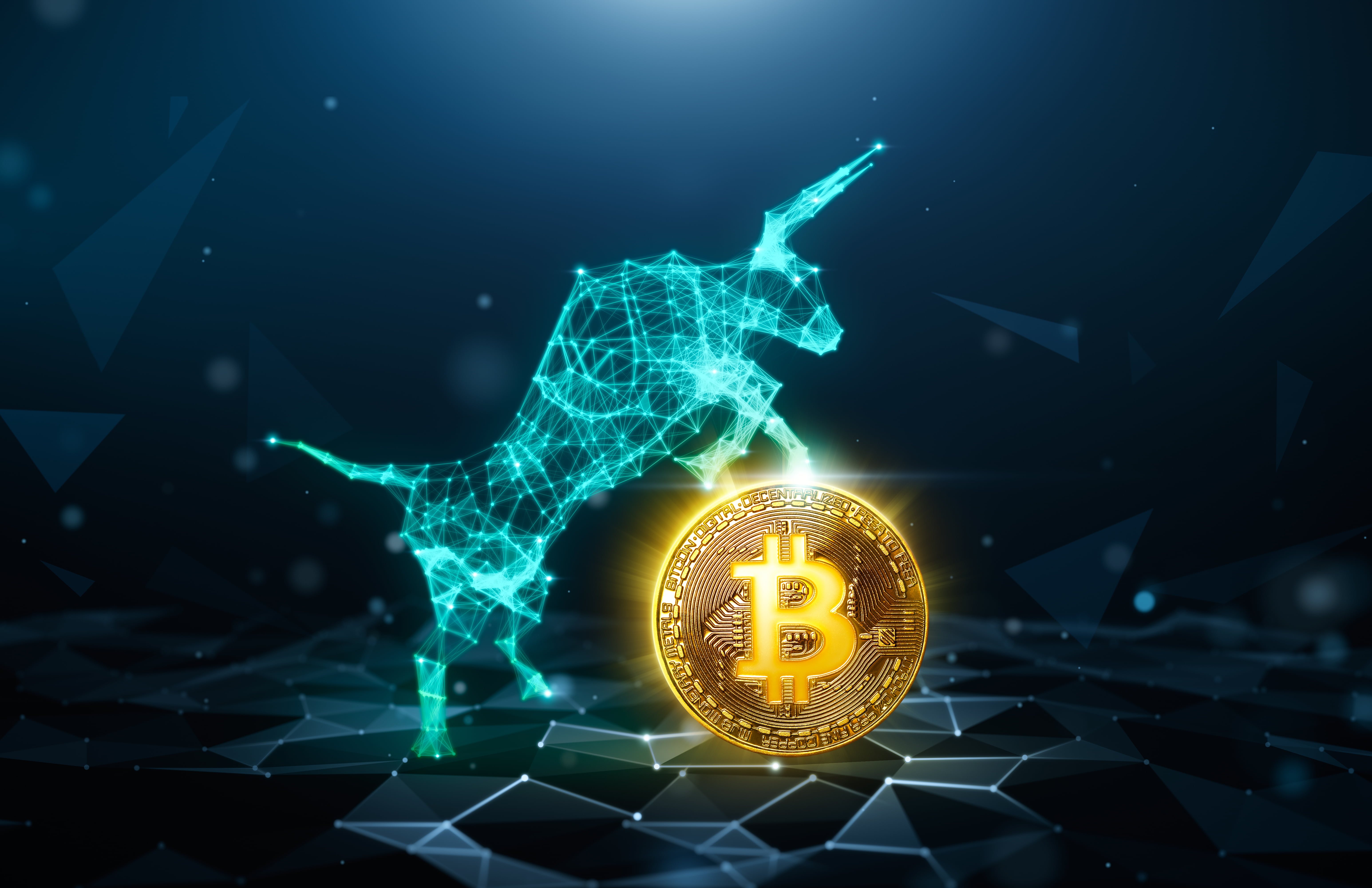 bitcoin price crypto bull run