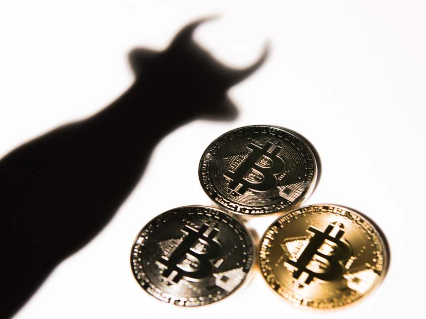 bitcoin investor market cycle 10000