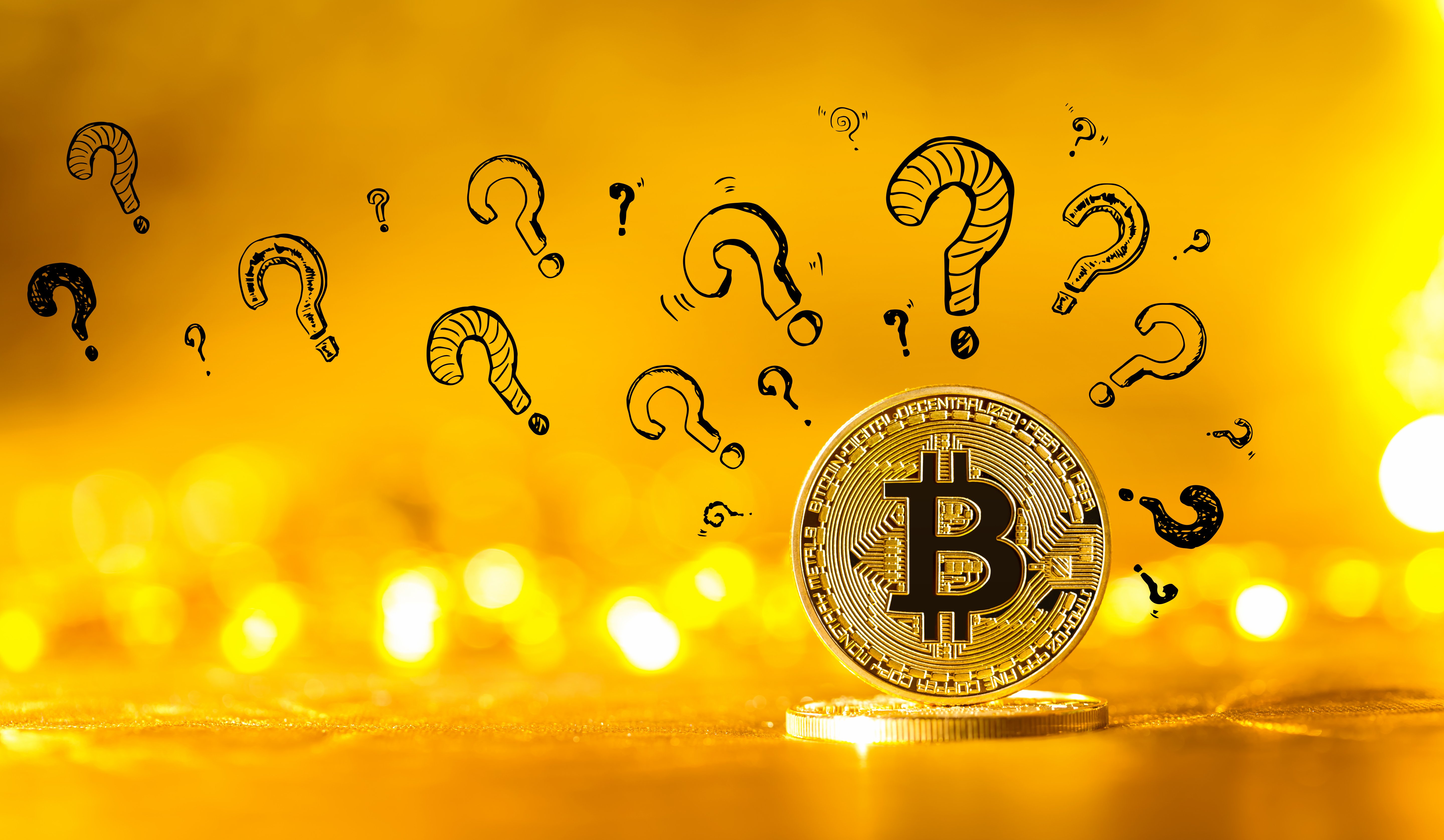 bitcoin price poll