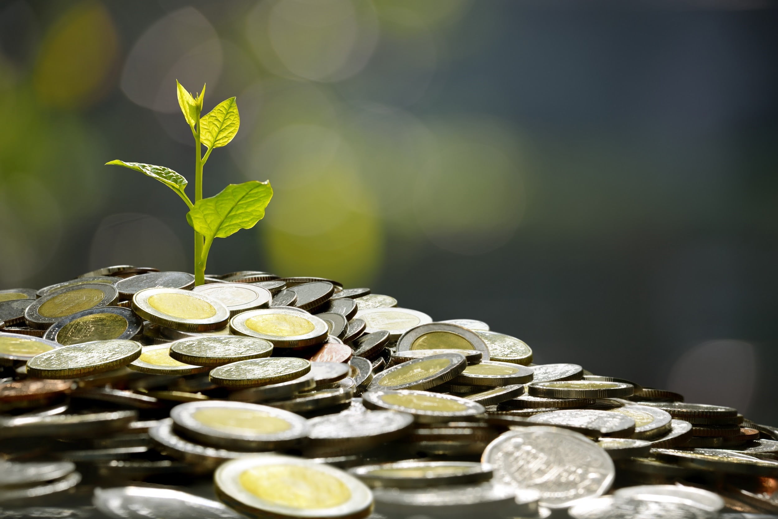 Humanity Protocol Plans New H Token After Million Key Compromise Humanity Protocol Plans New H Token After Million Key Compromise