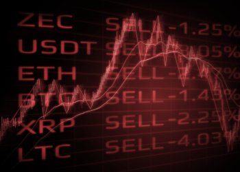 crypto market bitcoin altcoins future