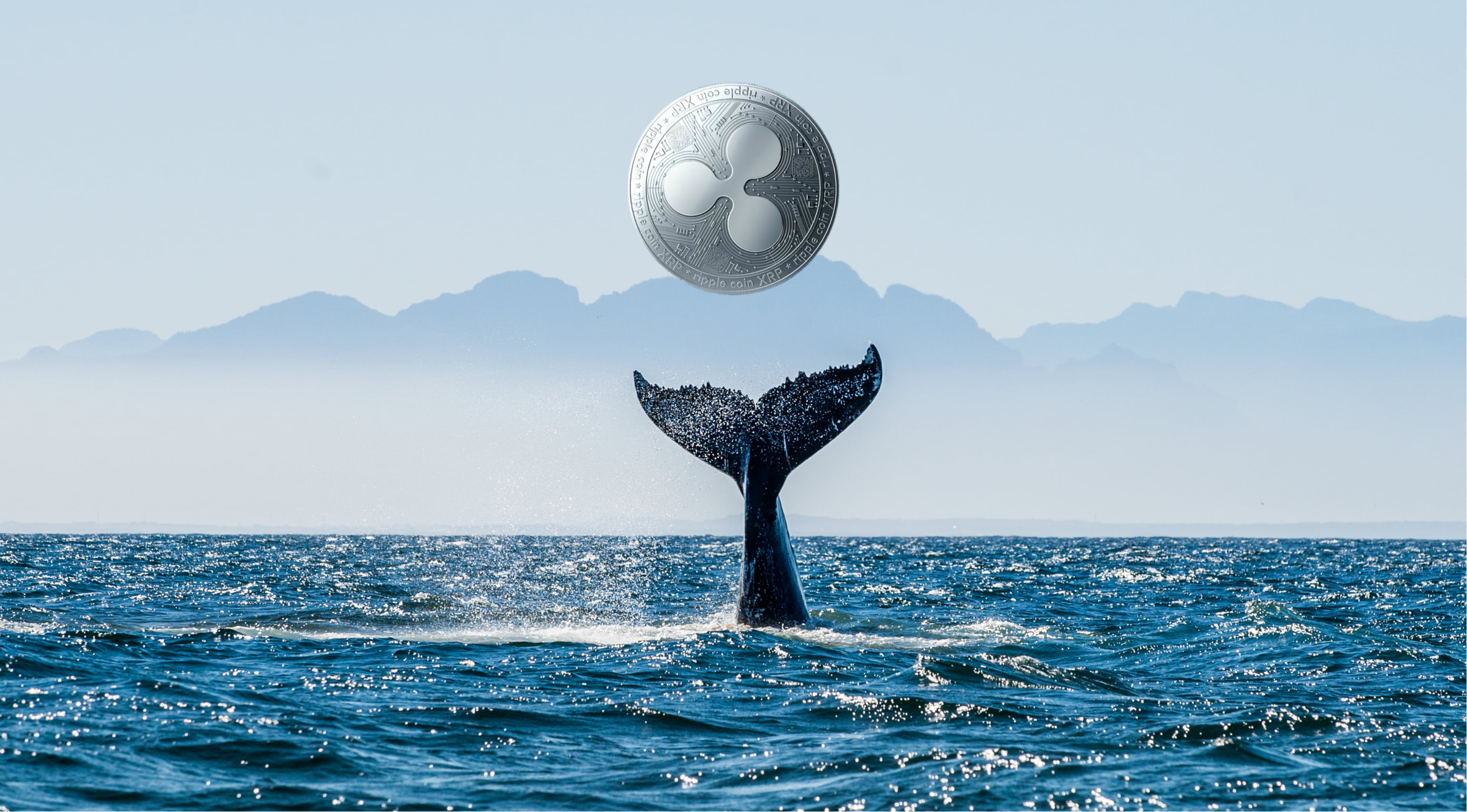 xrp ripple whale crypto