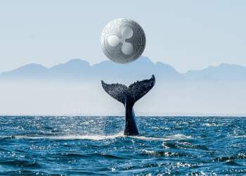 xrp ripple whale crypto