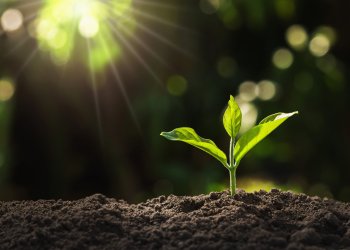 Bitcoin Price Close Above $10,700 Could BTC Flying; Here’s Why