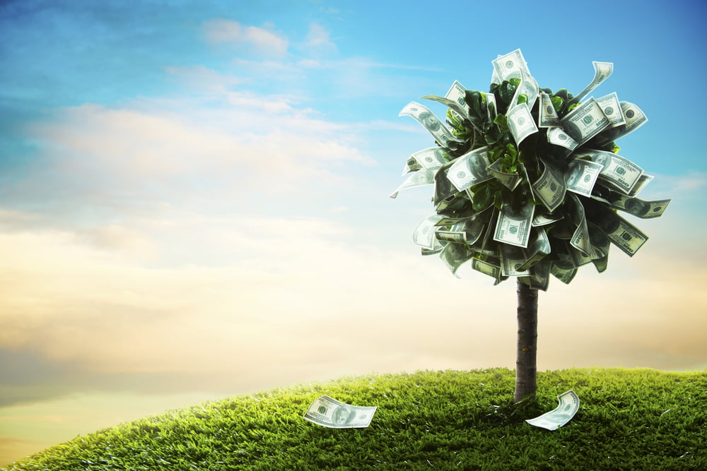 Crypto Entrepreneur Pledges Match of Presidential Candidate’s Universal Basic Income Scheme