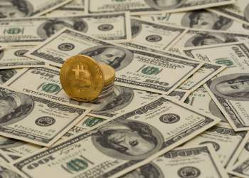 bitcoin millionaire