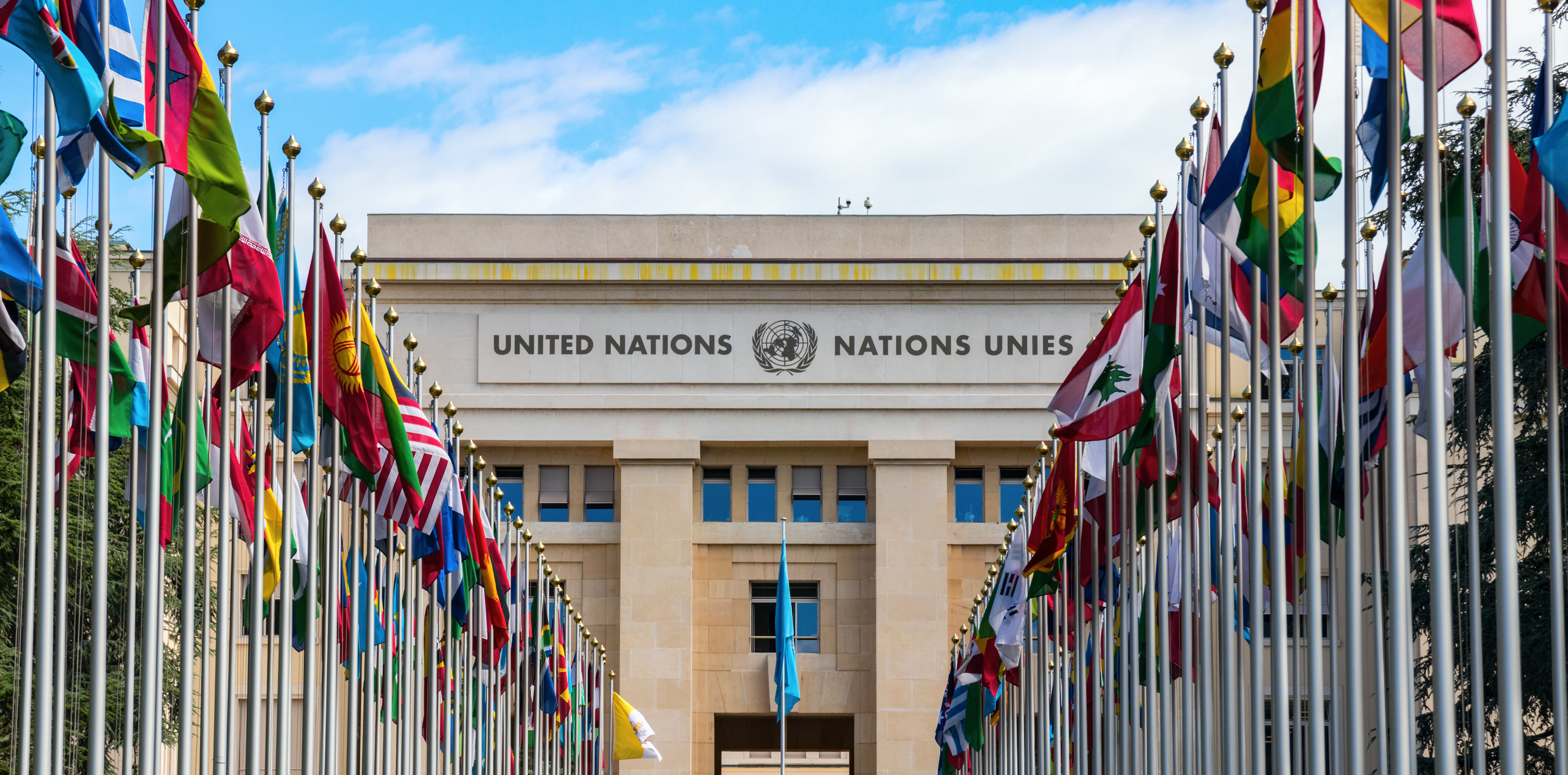 A United Nations Agency Has Launched a Crypto Fund