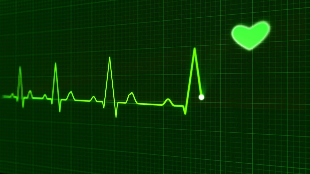 eToro Market Update: Back to Life