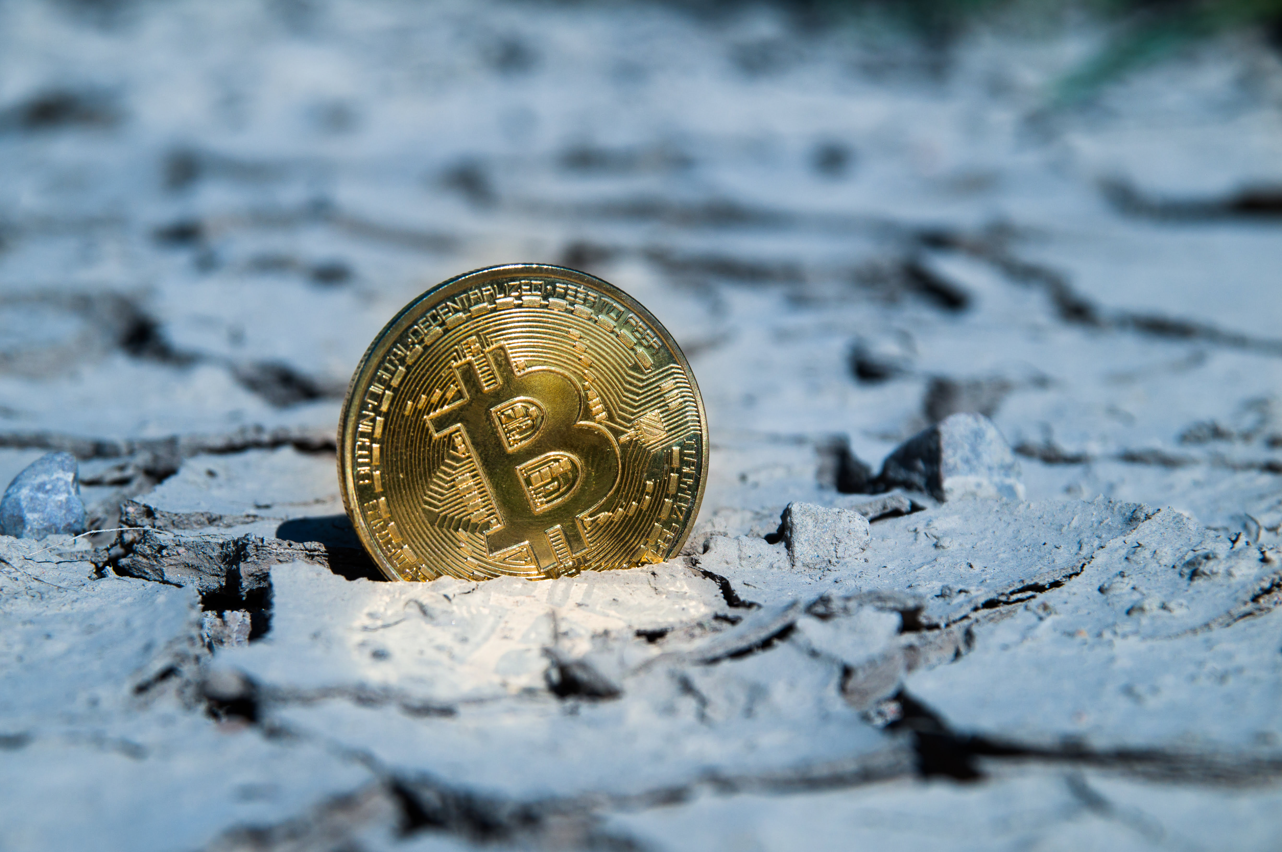 Crypto Investors Torn On If A New Bitcoin Bottom Is Realistic