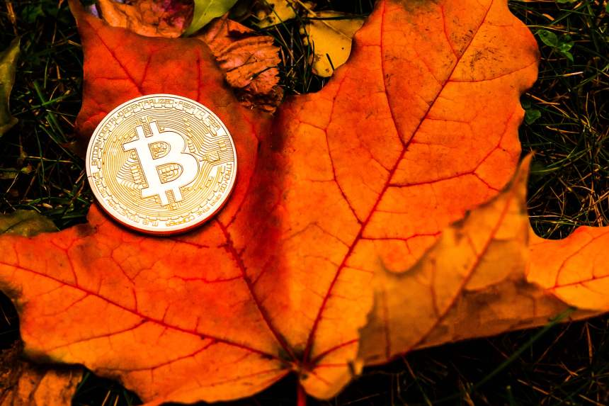 bitcoin thanksgiving