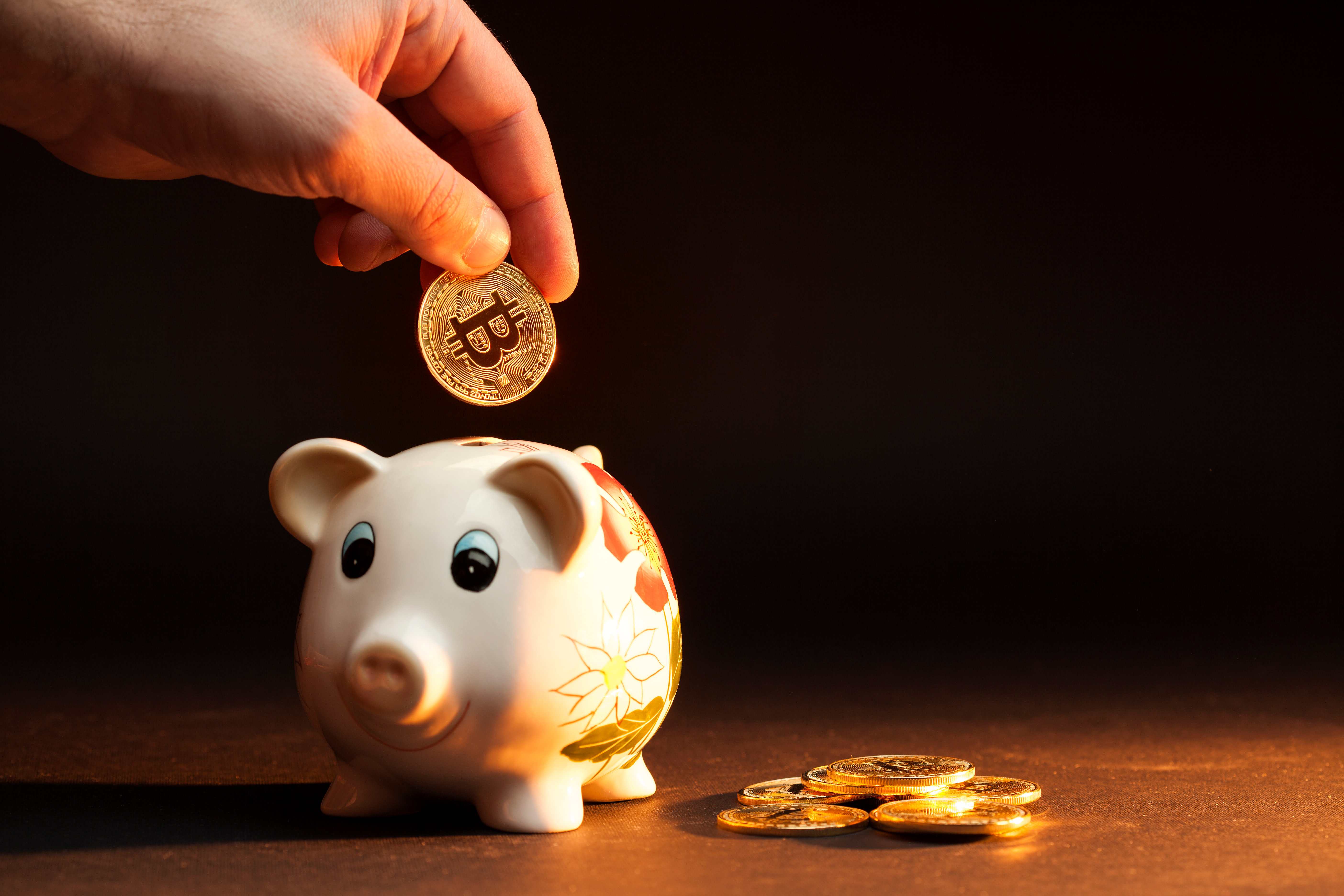 Nearly Two Years Later, A Retail Crypto Fund Experiment Is Down 81%