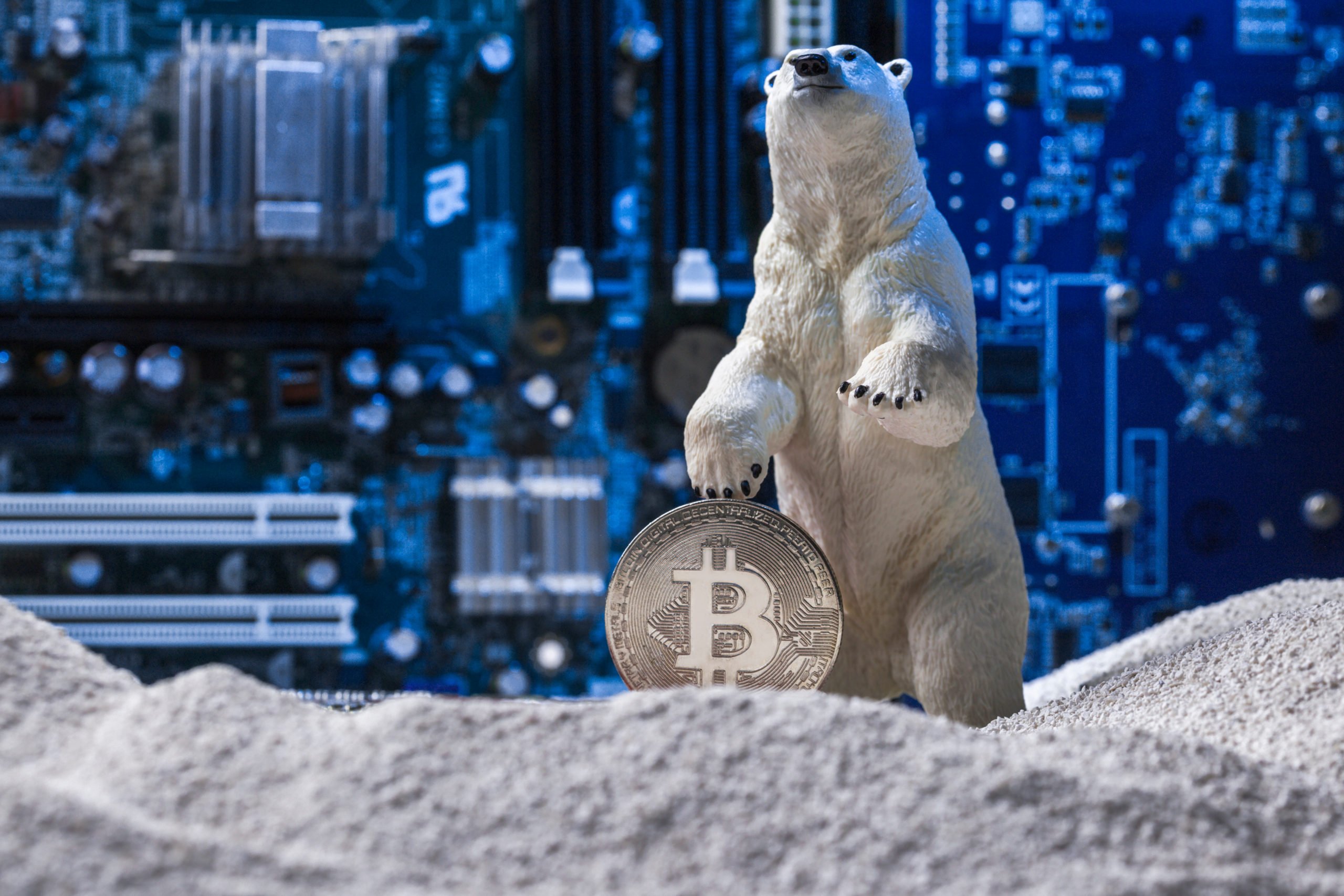bitcoin bear market crypto winter