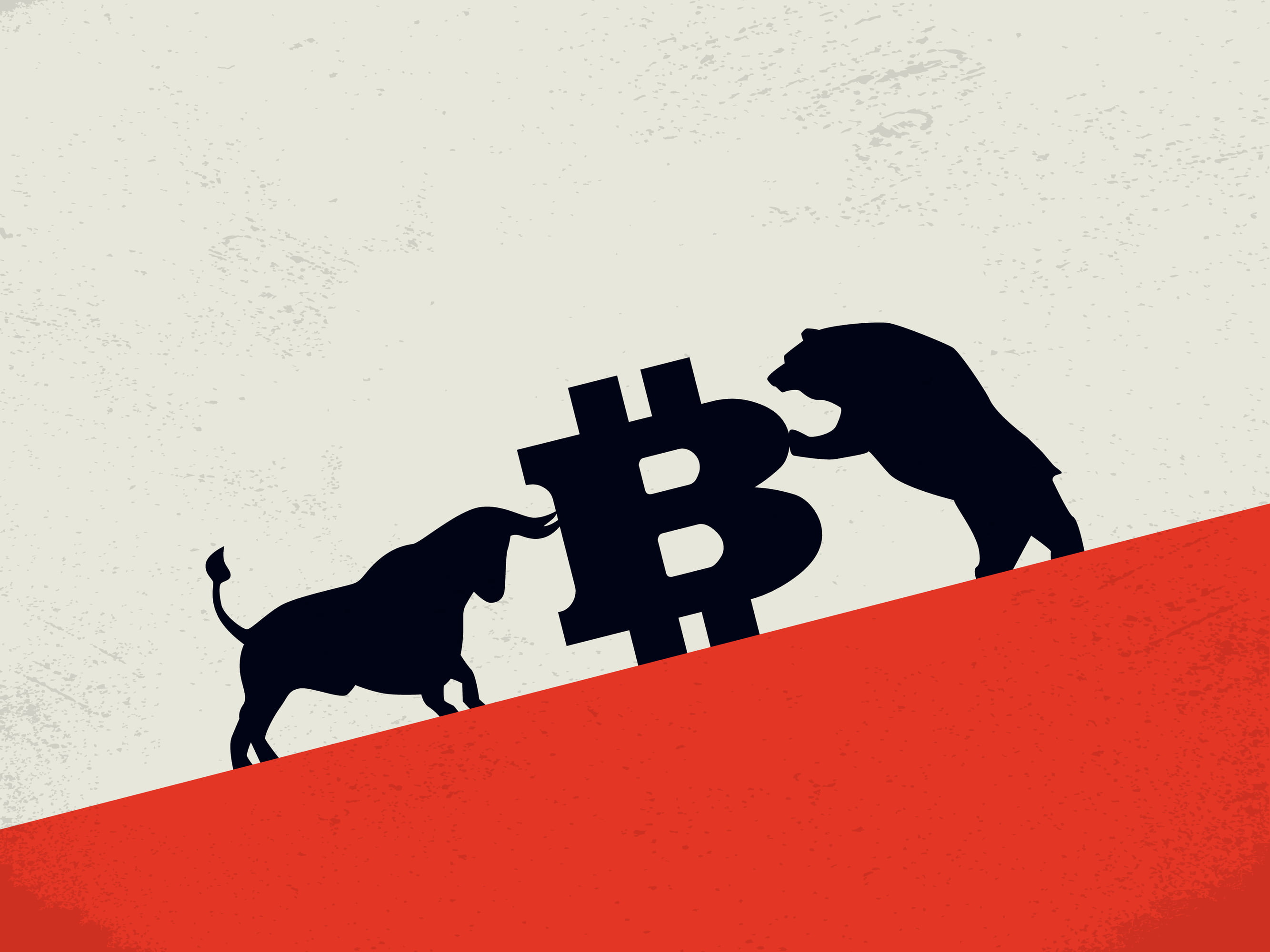 bitcoin price crypto bear bull