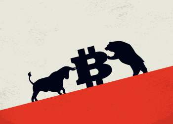 bitcoin price crypto bear bull