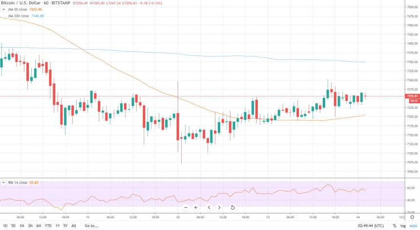 bitcoin cryptocurrency