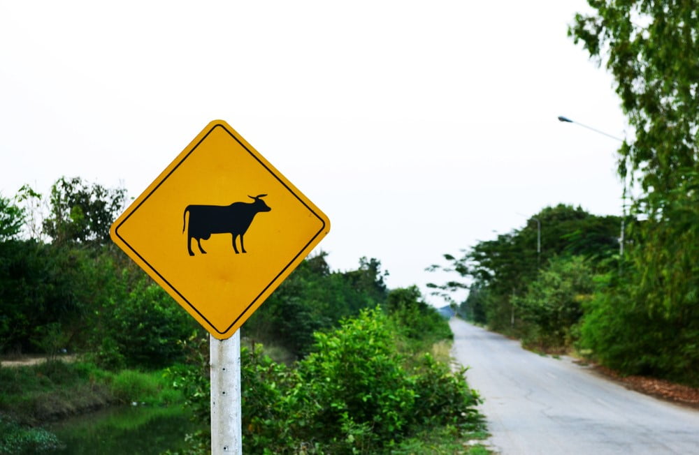 Why Ripple (XRP) Bulls Need To Be Careful After New 2-Year Low?