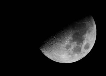 Bitcoin Halving Search Trend is Surging, But Why is Price Stagnant?