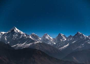 Bitcoin Still Overtook Trump, VISA, PayPal, and Libra on Google Search in 2019