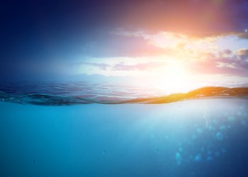 Why Bitcoin’s 2020 Halving Will Catalyze “FOMO” and “Large Bull Run”