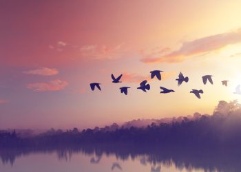 Once Bitcoin Breaks $7,650, Price Will “Fly” Higher; Here’s Why