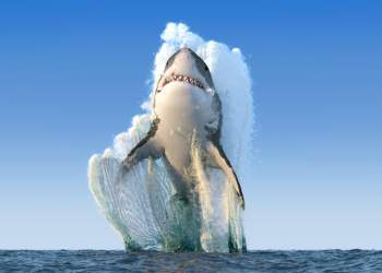 XRP Spikes 10.5% in Biggest Single Day Surge in 8 Months: What Triggered it?