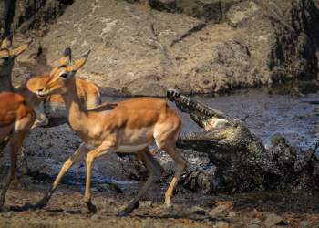 death spiral bitcoin