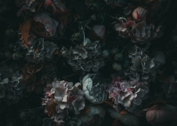 This Gold Bug Says Bitcoin is Worth $0 Because His “Wallet Forgot His Password”