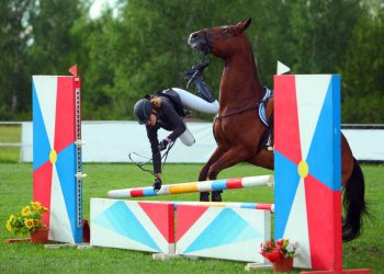 ripple, xrp, cryptocurrency, bitcoin